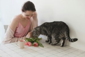 Are tulips toxic to cats?