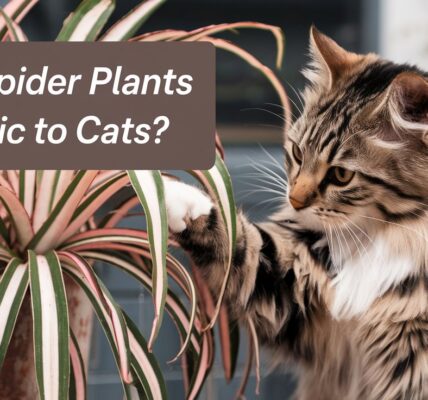 Are Spider Plants Toxic to Cats?