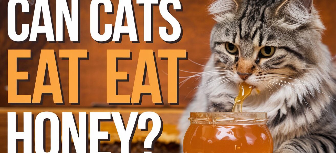 Can Cats Eat Honey?